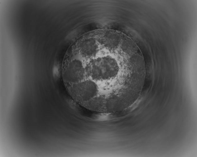 X0000100490090200806131258