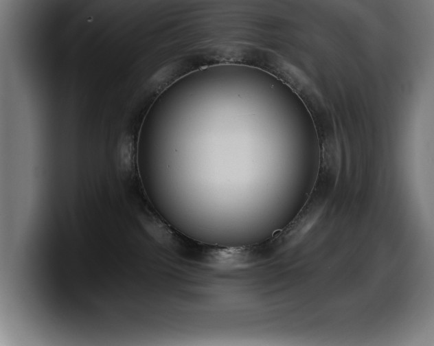 X0000100490092200806131258