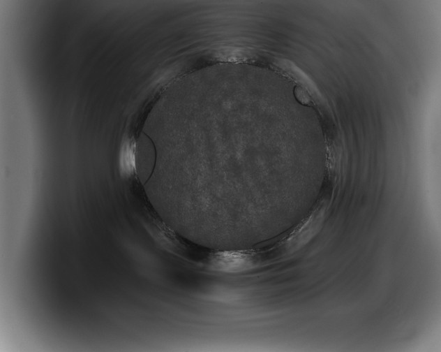 X0000100490095200806131258