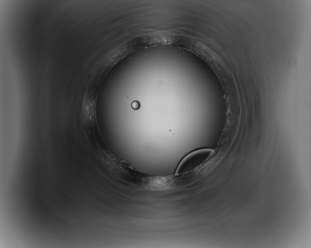 X0000100490096200806131258