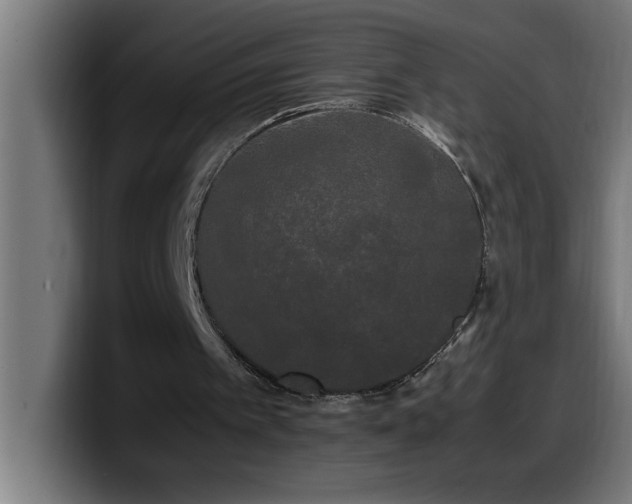 X0000100490097200806131258
