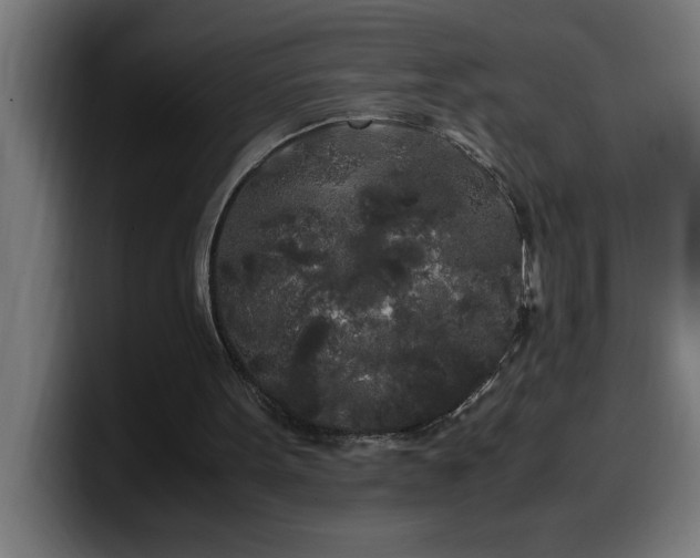 X0000100490099200806131258