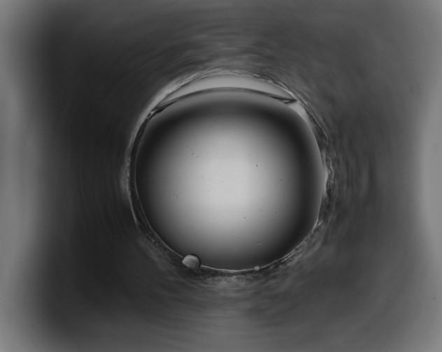 X0000100490100200806131258