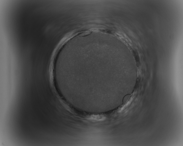 X0000100490101200806131258