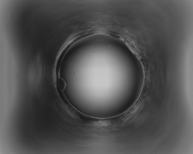 X0000100490102200806131258