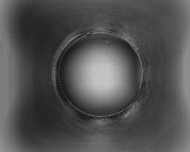 X0000100490103200806131258