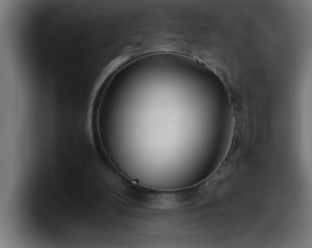 X0000100490104200806131258