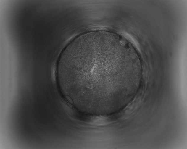 X0000100490107200806131258