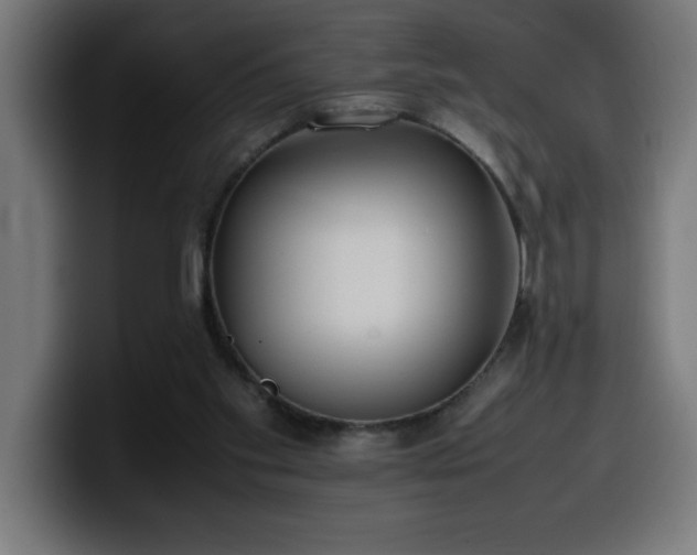 X0000100490109200806131258