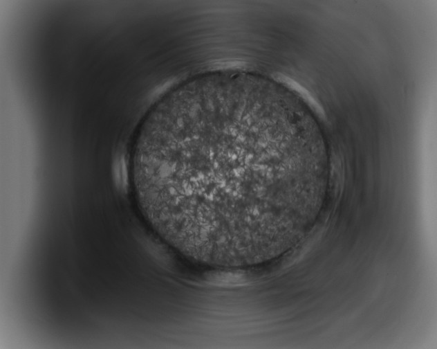 X0000100490110200806131258