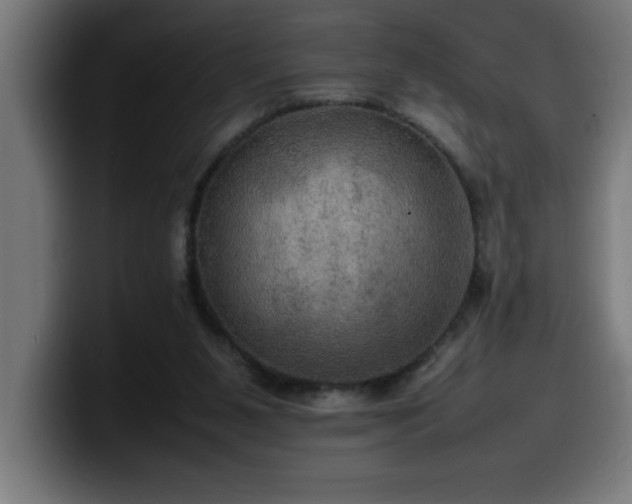 X0000100490111200806131258