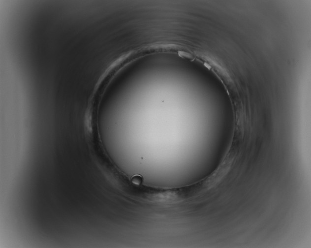 X0000100490112200806131258
