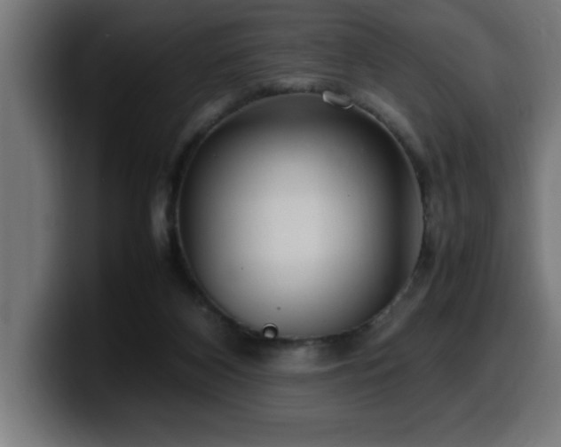 X0000100490116200806131258