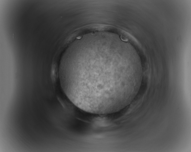 X0000100490119200806131258