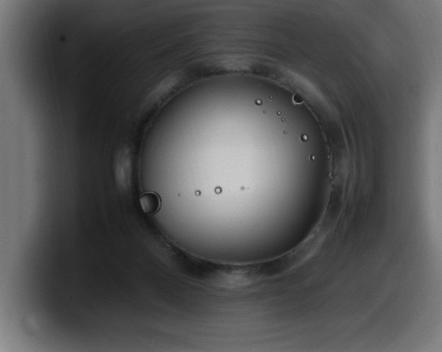X0000100490120200806131258