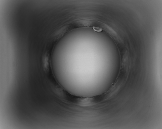 X0000100490122200806131258