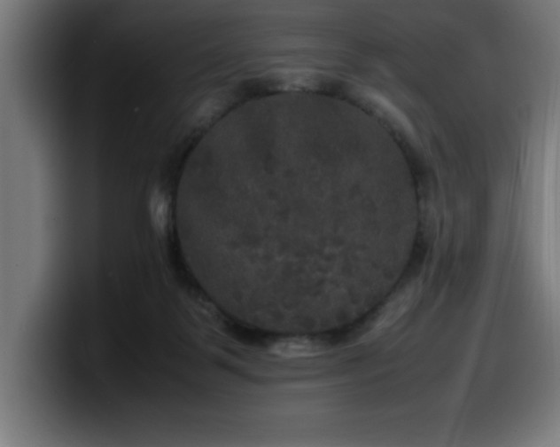 X0000100490123200806131258