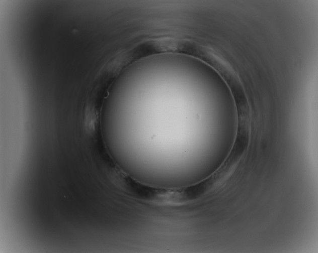 X0000100490125200806131257