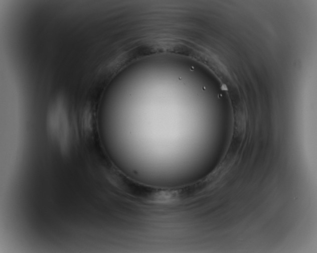 X0000100490126200806131257