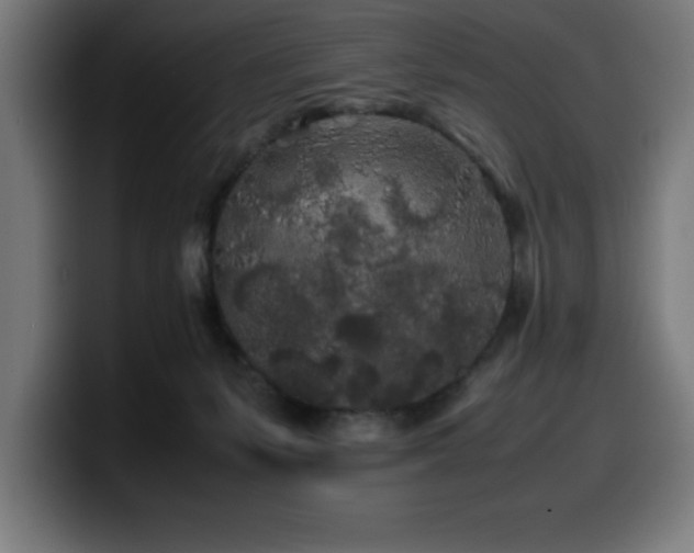 X0000100490127200806131257