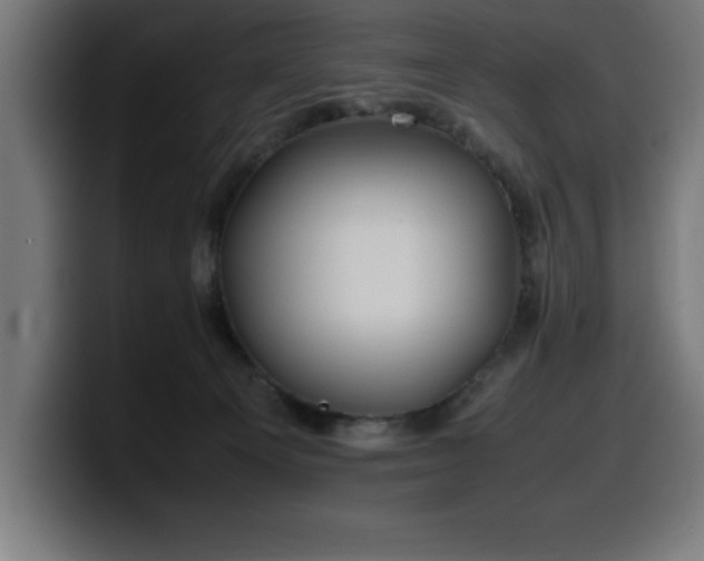 X0000100490129200806131257