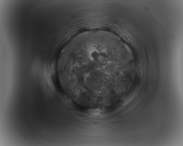X0000100490131200806131257