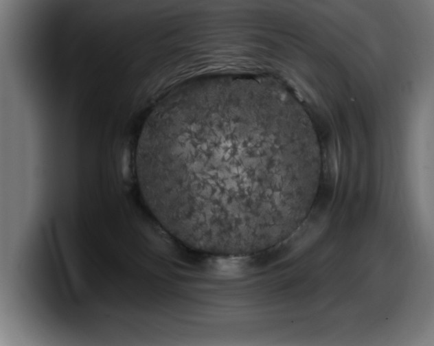 X0000100490134200806131257