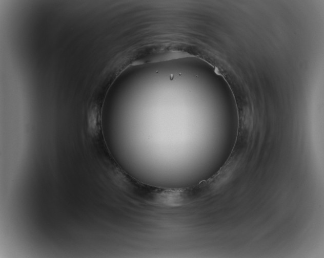 X0000100490138200806131257