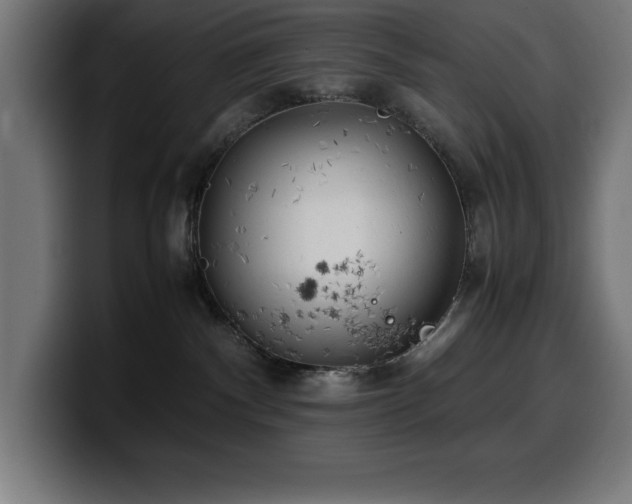 X0000100490140200806131257