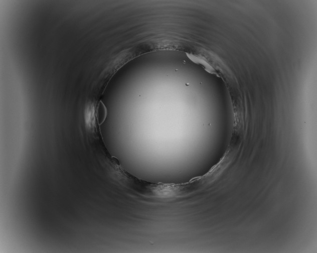 X0000100490142200806131257