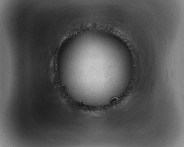 X0000100490144200806131257