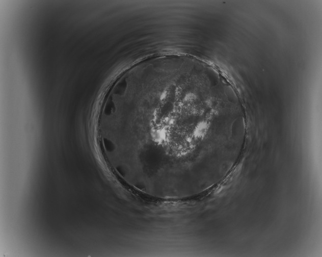 X0000100490145200806131257