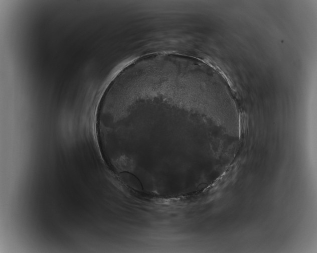 X0000100490147200806131257