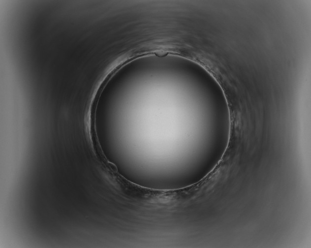 X0000100490148200806131257