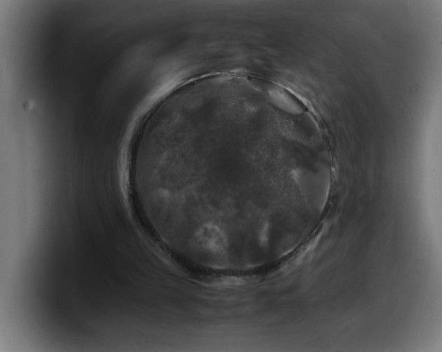 X0000100490149200806131257
