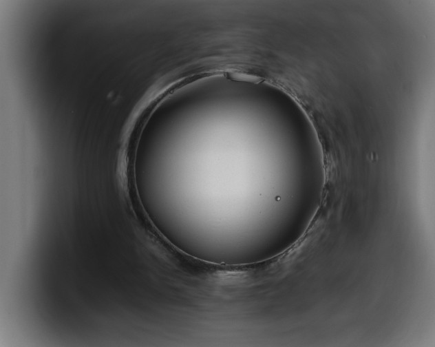 X0000100490150200806131257