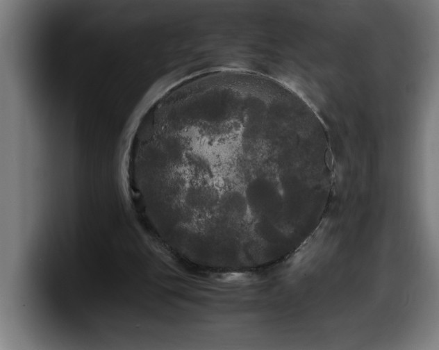 X0000100490151200806131257