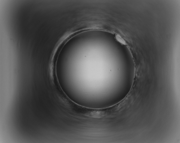 X0000100490152200806131257
