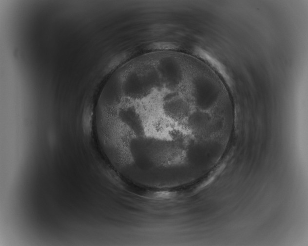 X0000100490153200806131257
