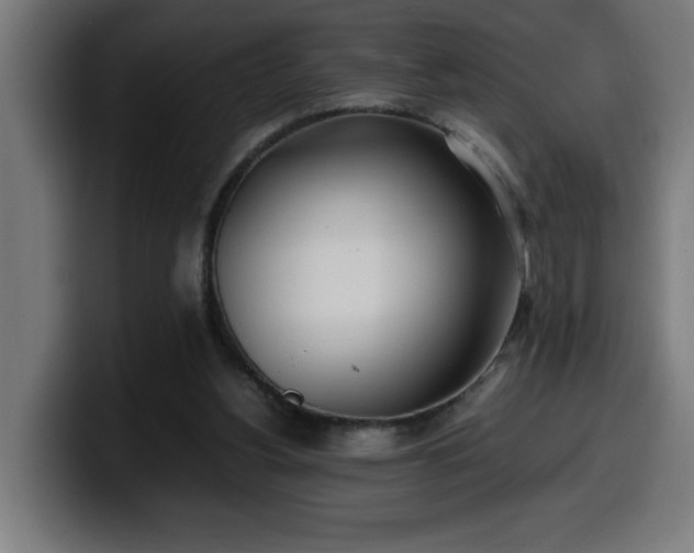 X0000100490156200806131257