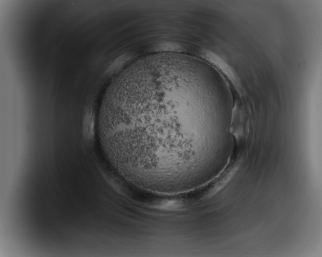 X0000100490157200806131257
