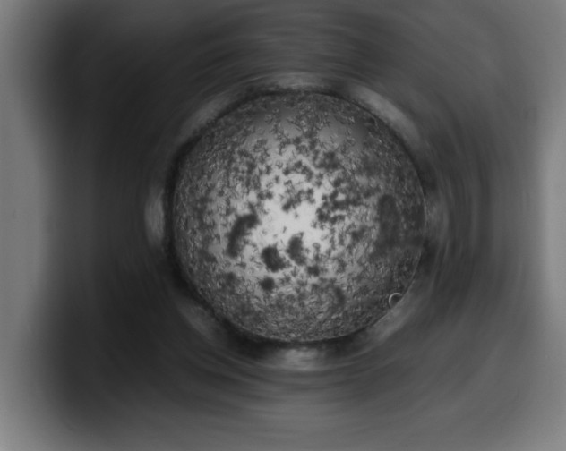 X0000100490158200806131257