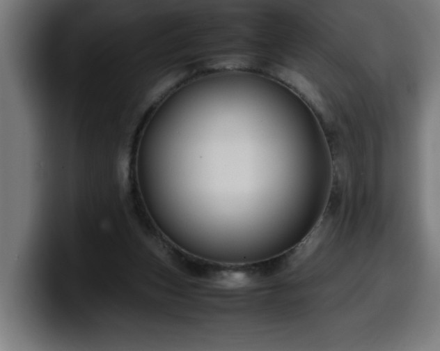 X0000100490159200806131257