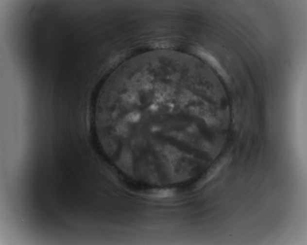 X0000100490161200806131257