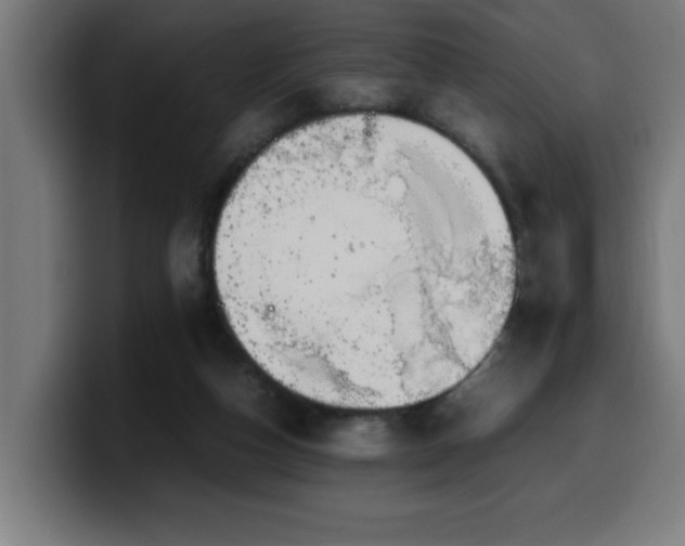 X0000100490162200806131257