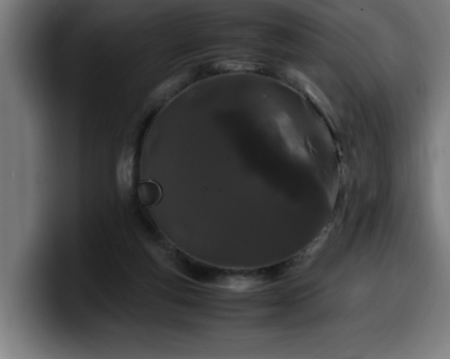 X0000100490163200806131257
