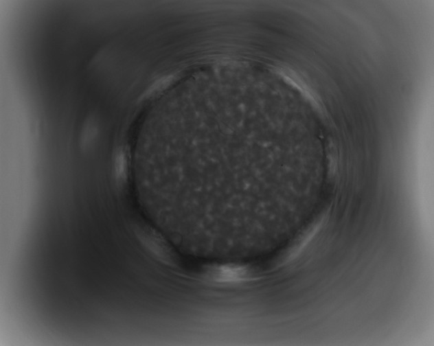 X0000100490165200806131257