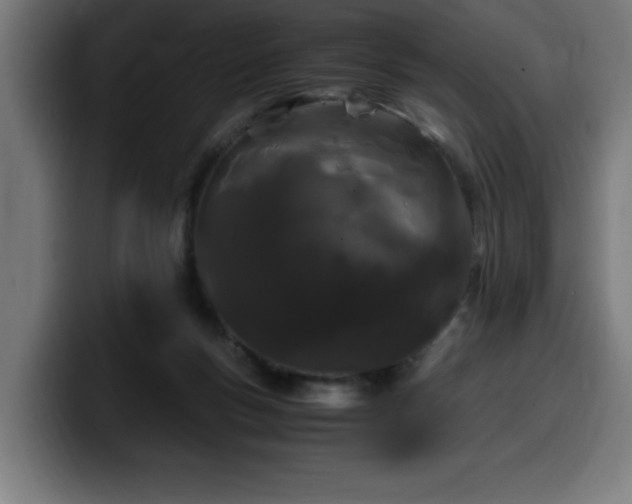X0000100490167200806131257