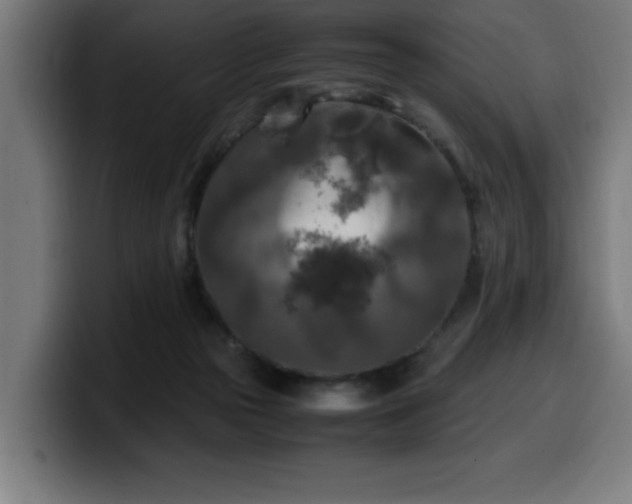 X0000100490169200806131257