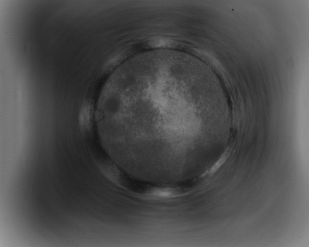 X0000100490171200806131257